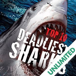 Top 10 Deadliest Sharks